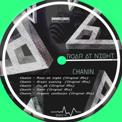 Roar at Night (Original Mix) | Boomplay Music