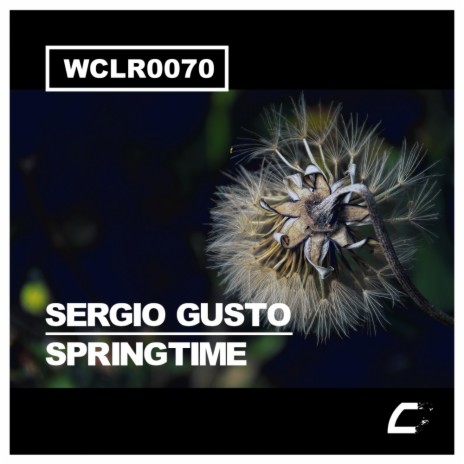 Springtime (Original Mix) | Boomplay Music