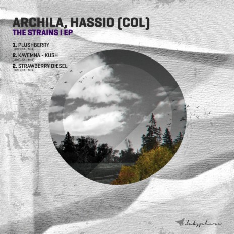 Plushberry (Original Mix) ft. Hassio (COL)