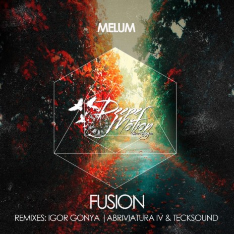 Fusion (Abriviatura IV & TeckSound Remix) | Boomplay Music