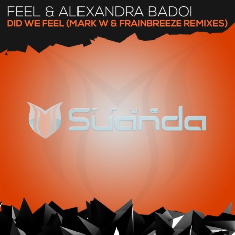 Did We Feel (Mark W Remix) ft. Alexandra Badoi