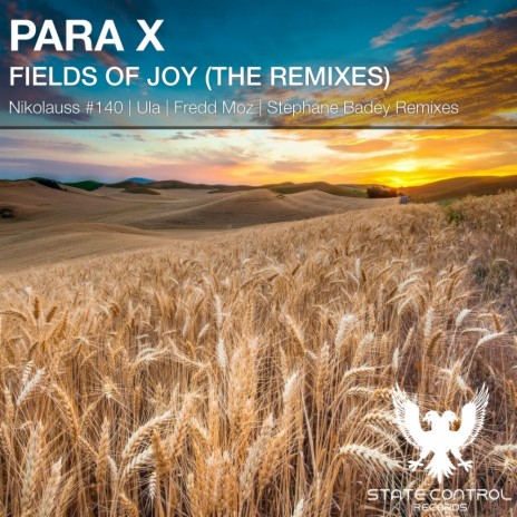 Fields Of Joy (Nikolauss #140 Remix)