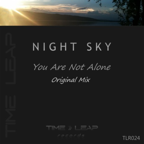 You Are Not Alone (Original Mix)