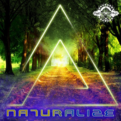 Naturalize (Original Mix) | Boomplay Music