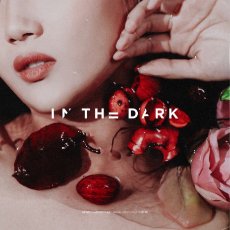 In the Dark | Boomplay Music