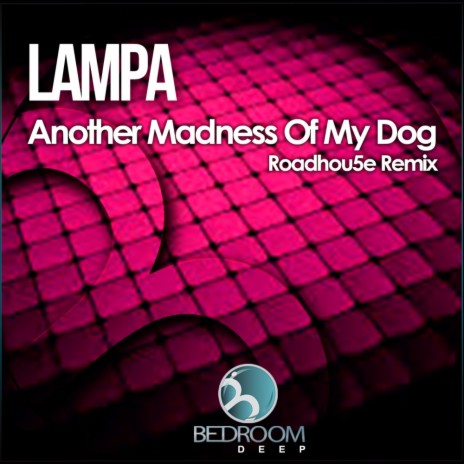 Another Madness Of My Dog (Original Mix)