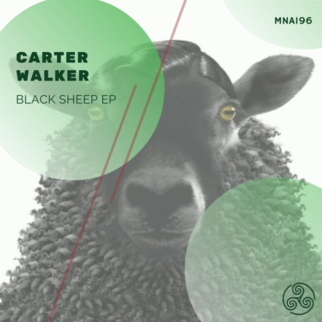 Black Sheep (Original Mix)
