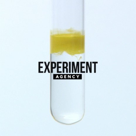 Experiment (Radio Edit) | Boomplay Music