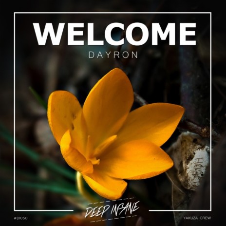 Welcome (Original Mix) | Boomplay Music