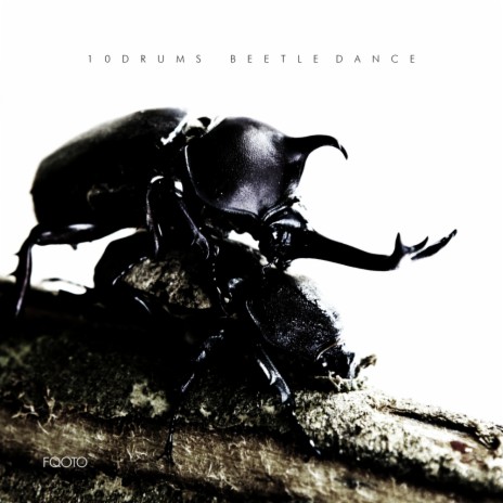 Beetle Dance (Original Mix)