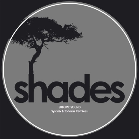 Shades (Torteraz Deep In Shades Remix)