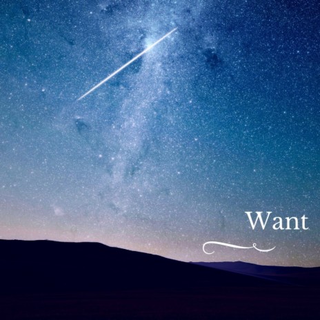 Want (Original Mix) | Boomplay Music