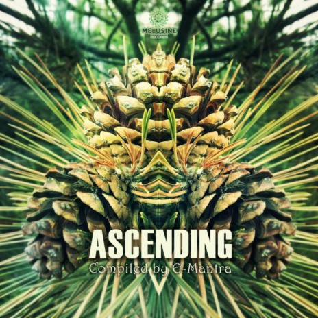Ascending (Live Version) | Boomplay Music