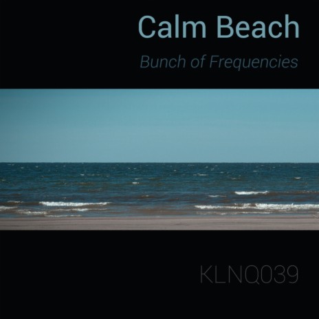 Calm Beach (Original Mix) | Boomplay Music