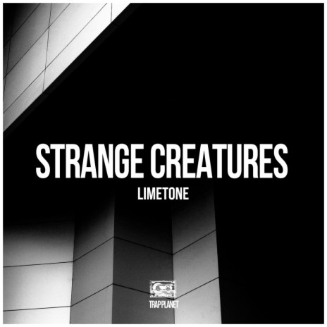 Strange Creatures (Original Mix) | Boomplay Music