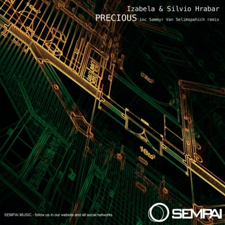 Precious (Sammyr Van Selimspahich Remix) ft. Silvio Hrabar | Boomplay Music