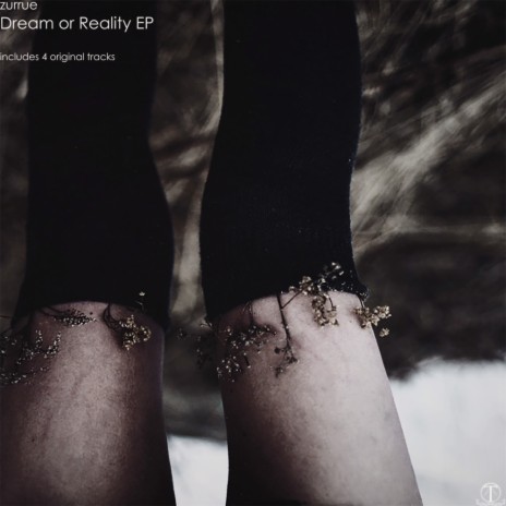 Dream Or Reality (Original Mix)