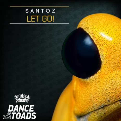 Let Go! (Original Mix)