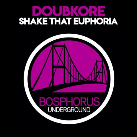 Euphoria 2015 ft. DgtalSystem | Boomplay Music