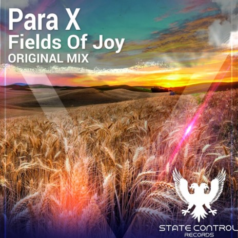 Fields Of Joy (Original Mix)