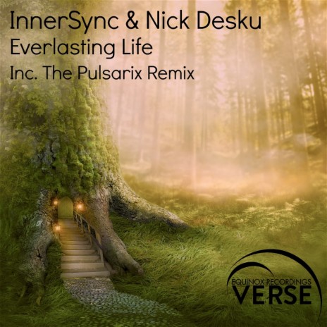 Everlasting Life (The Pulsarix Remix) ft. Nick Desku | Boomplay Music