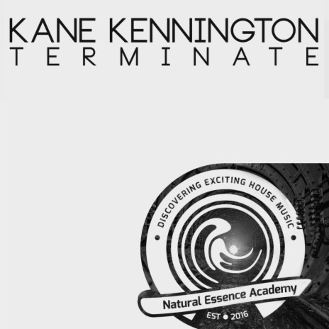 Terminate (Original Mix) | Boomplay Music