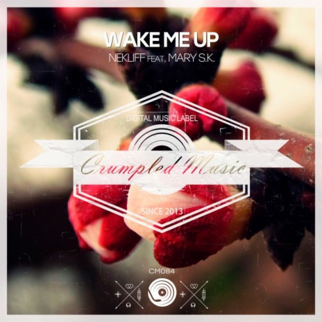Wake Me Up (Original Mix) ft. Mary S.K. | Boomplay Music