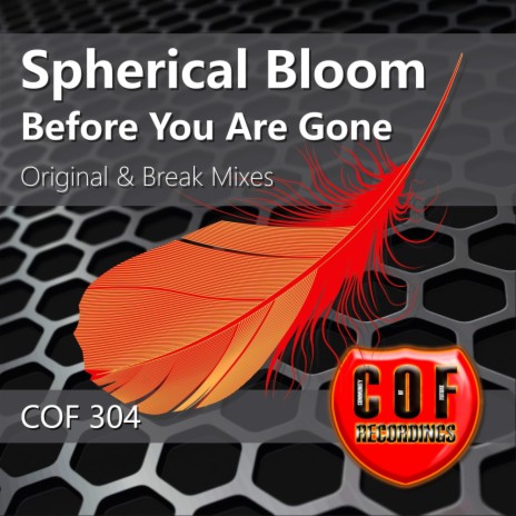 Before You Are Gone (Original Mix)