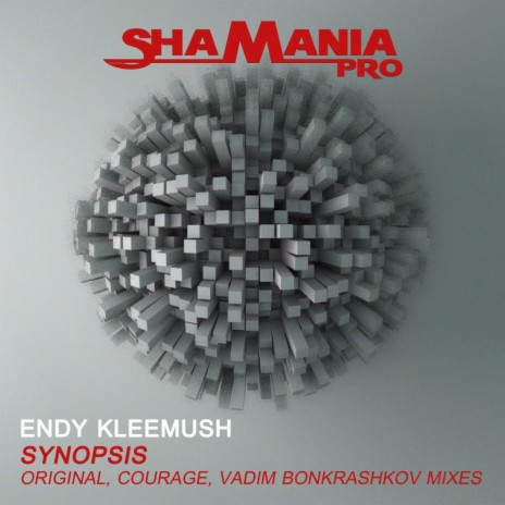 Synopsis (Vadim Bonkrashkov Remix) | Boomplay Music