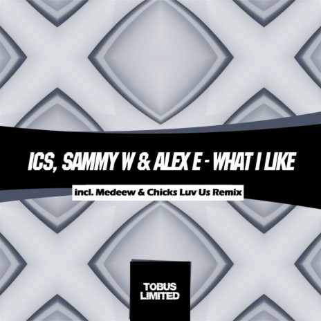 What I Like (Medeew & Chicks Luv Us Remix) ft. Alex E & ICS