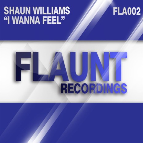 I Wanna Feel (Original Mix)