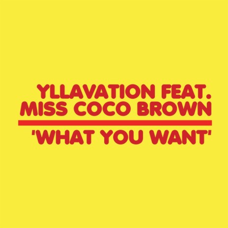 What You Want (4x4 Full Vocal) ft. Miss Coco Brown | Boomplay Music