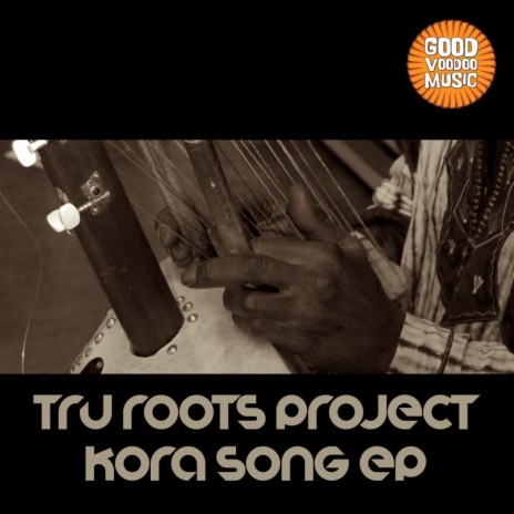 Houdini (Tru Roots Project Overtone Dub) | Boomplay Music