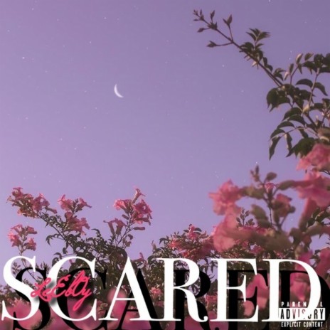 SCARED | Boomplay Music