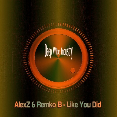 Like You Did (Original Mix) ft. Remko B