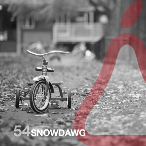 Snowdawg | Boomplay Music