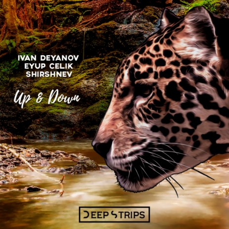 Up & Down (Original Mix) ft. Ivan Deyanov & Eyup Celik | Boomplay Music