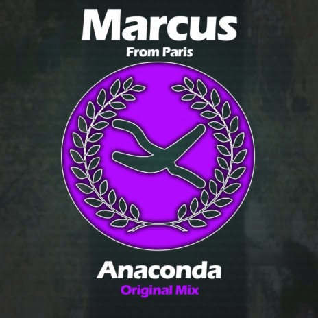 Anaconda (Original Mix)