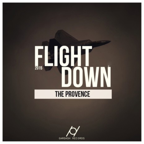 Flight Down (First Edition)