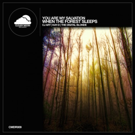 When The Forest Sleeps (CJ Art Downtempo Mix) | Boomplay Music