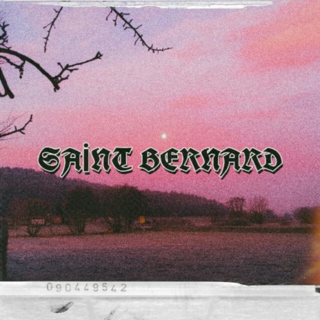 Saint Bernard | Boomplay Music