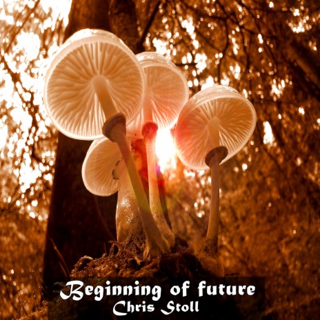 Beginning of Future | Boomplay Music