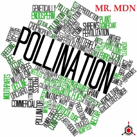 Pollination (Original Mix) | Boomplay Music