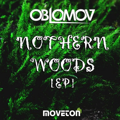 Nothern Wood (Original Mix) | Boomplay Music