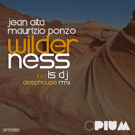 Wilderness (LS DJ Deephouse Remix) ft. Maurizio Ponzo