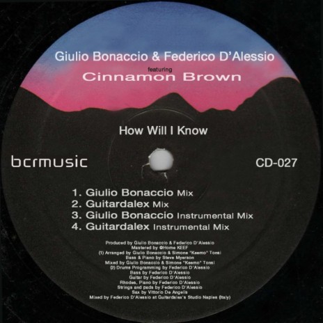 How Will I Know (Giulio Bonaccio Mix) ft. Federico d'Alessio & Cinnamon Brown