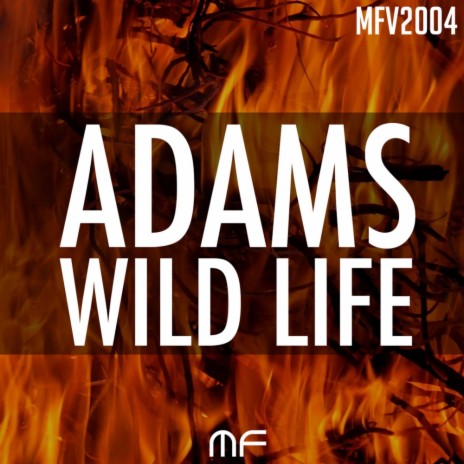 Wild Life (Original Mix) | Boomplay Music