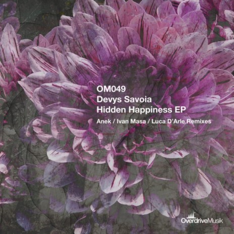 Hidden Happiness (Luca D'arle Remix) | Boomplay Music