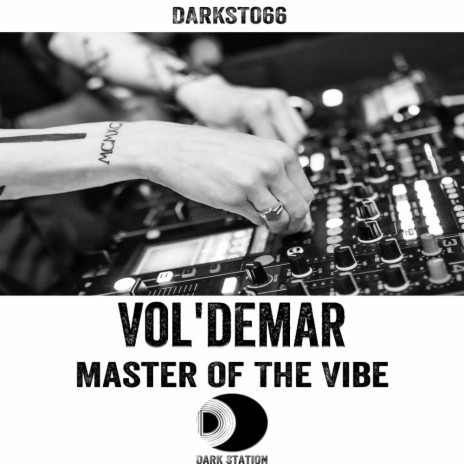 Master Of The Vibe (Original Mix)