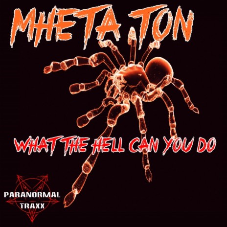 What The Hell Can You Do (Original Mix)